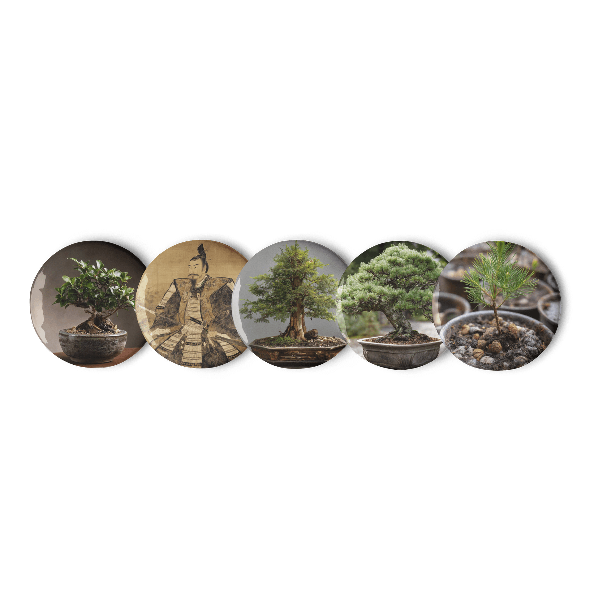 Bonsai Pin Badge Set – Mini Tree Lapel Pins for Bonsai Enthusiasts product image (1)