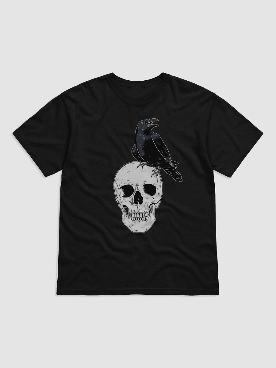 Raven on Skull product image (1)