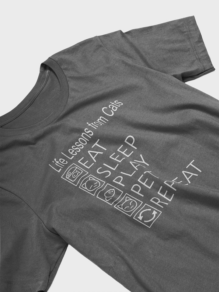 Life Lessons from Cats Unisex Tee, White Print product image (2)