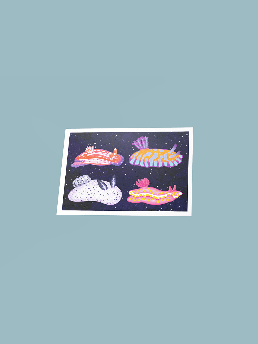 Sea Slugs: Set 1 - Print product image (3)
