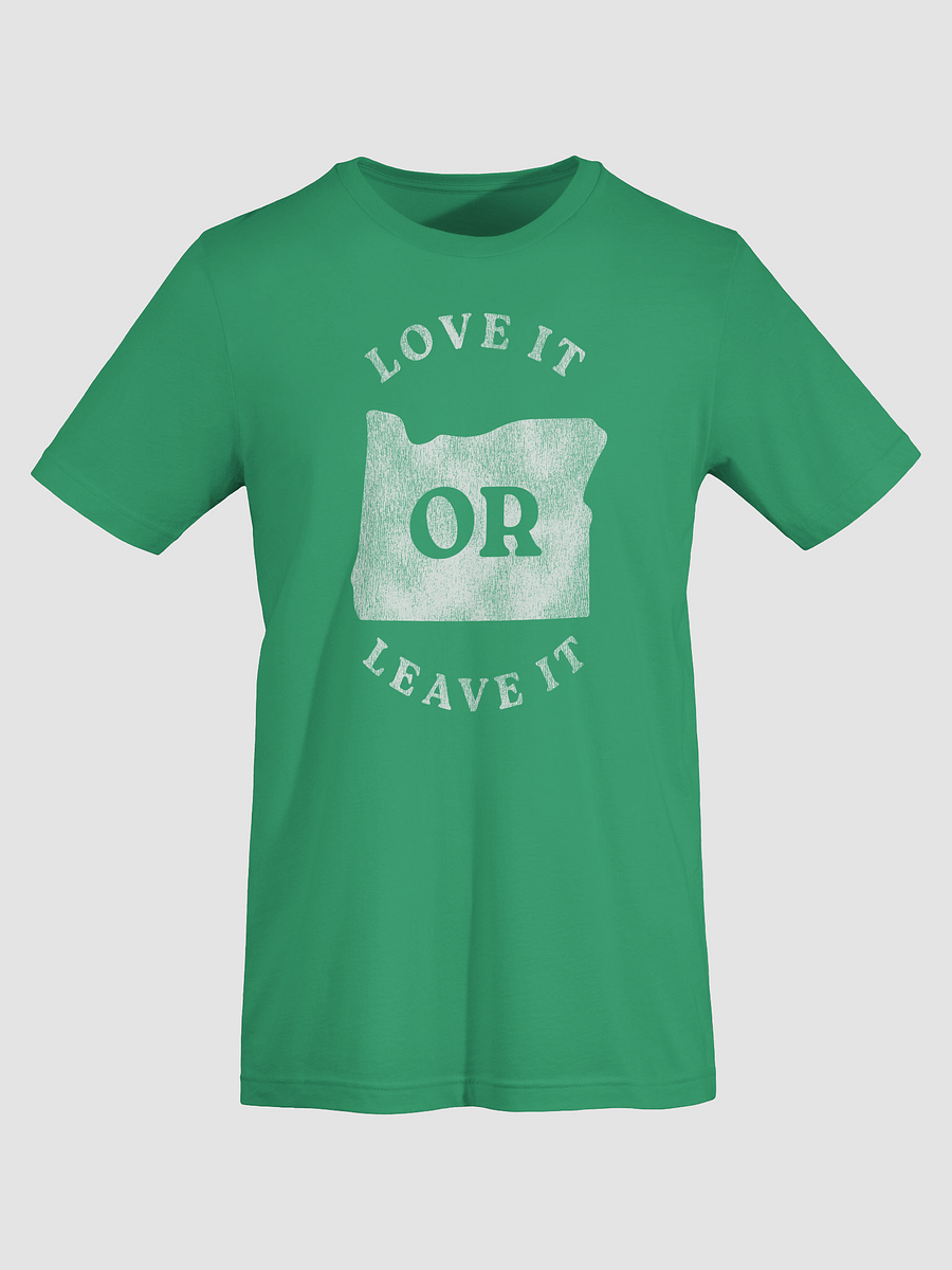 Love it OR Leave it T-shirt product image (33)