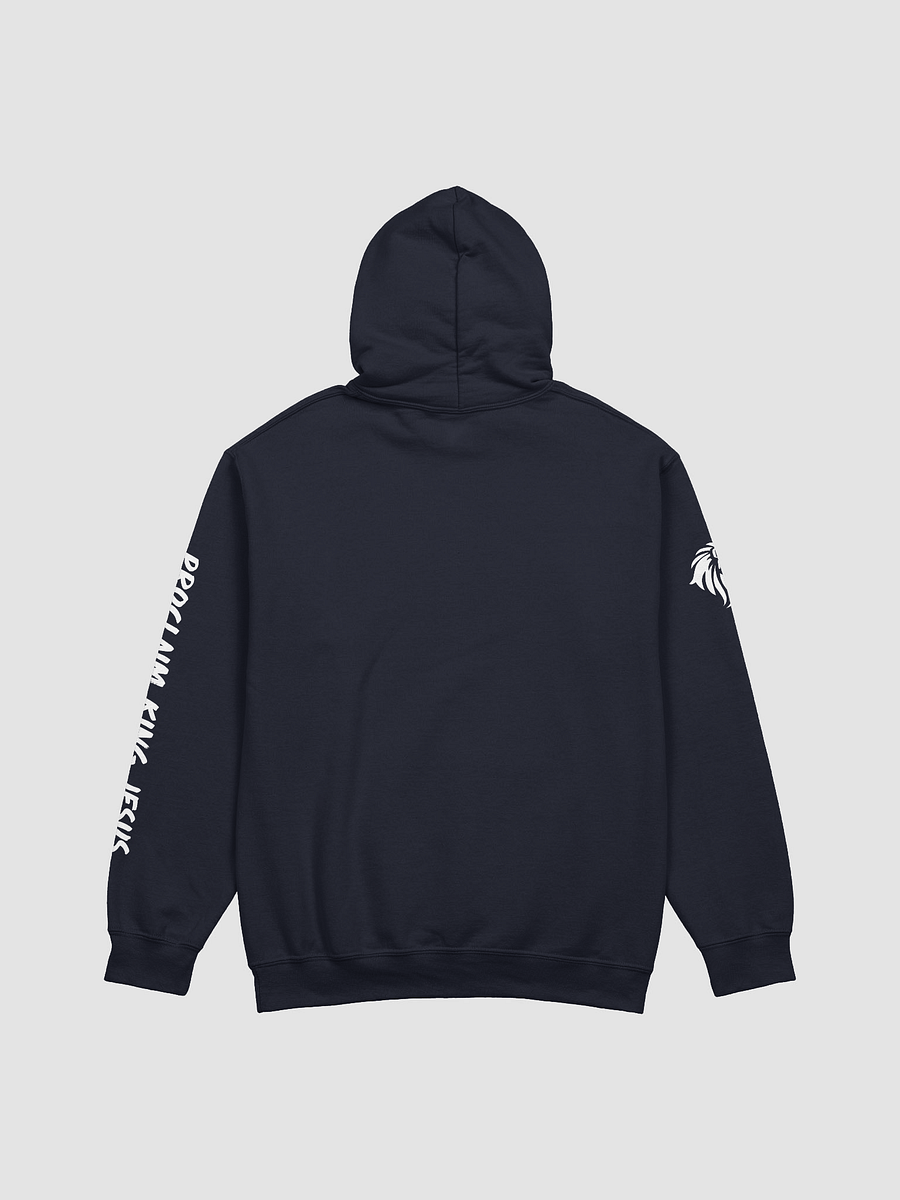 Jesus Hoodie (Various Colors) product image (2)