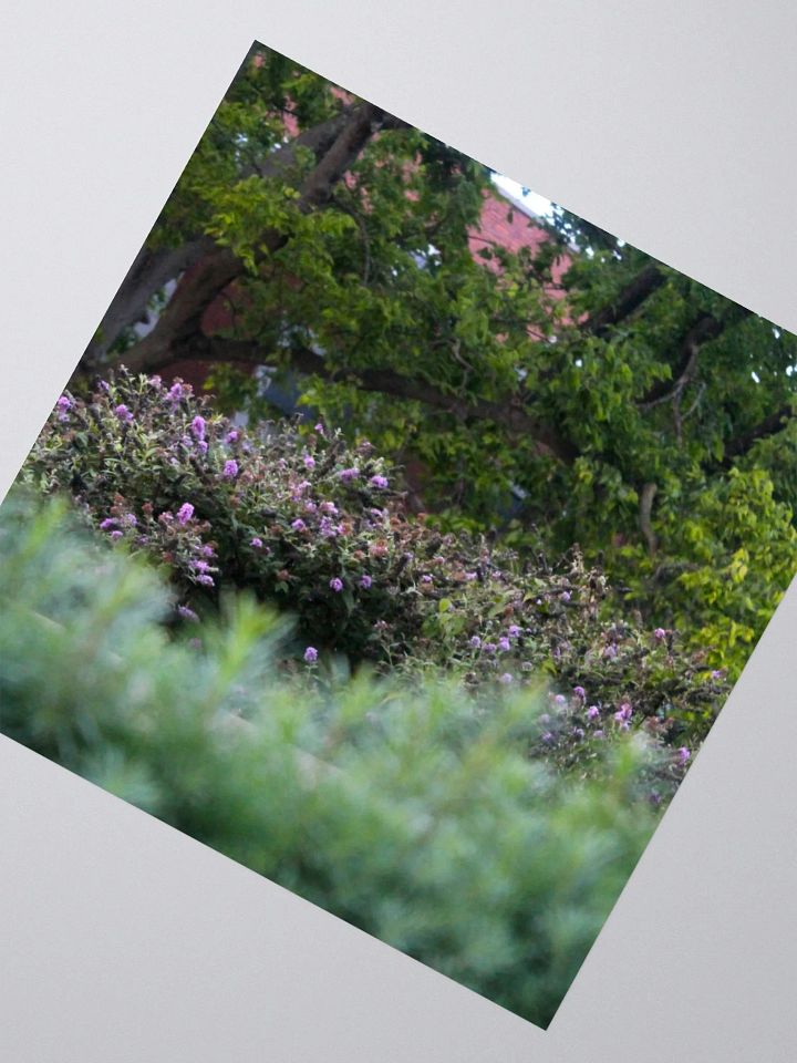 A Study in Flowers 17 - sticker version product image (6)