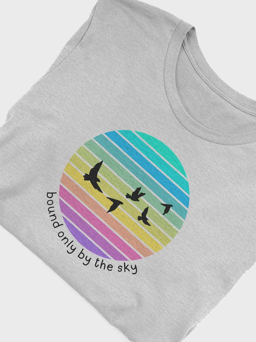 Bound Only By The Sky Bird Graphic T-Shirt product image (48)