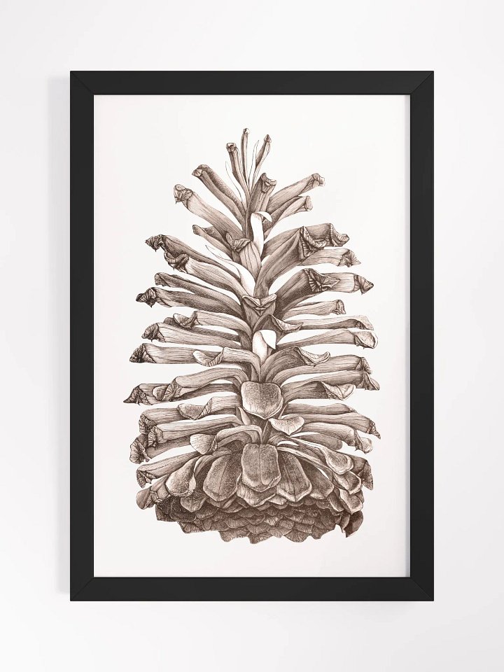 Ecotone Pine Cone Framed Print product image (1)
