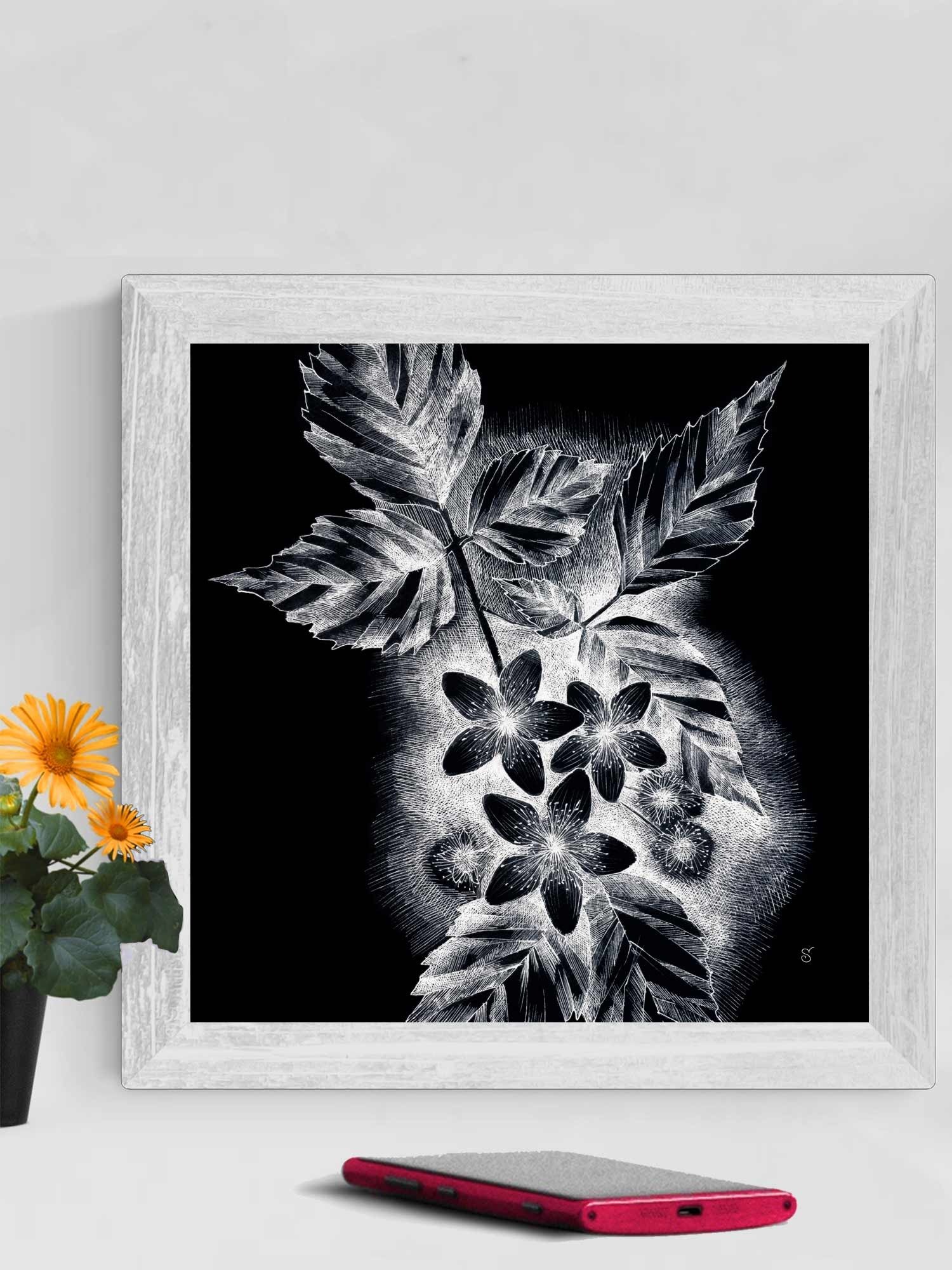 Blank Canvas Collection - JDark asmine product image (57)