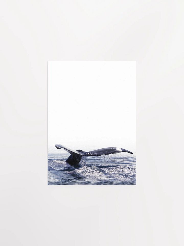 Whale Tail Dive Poster product image (1)