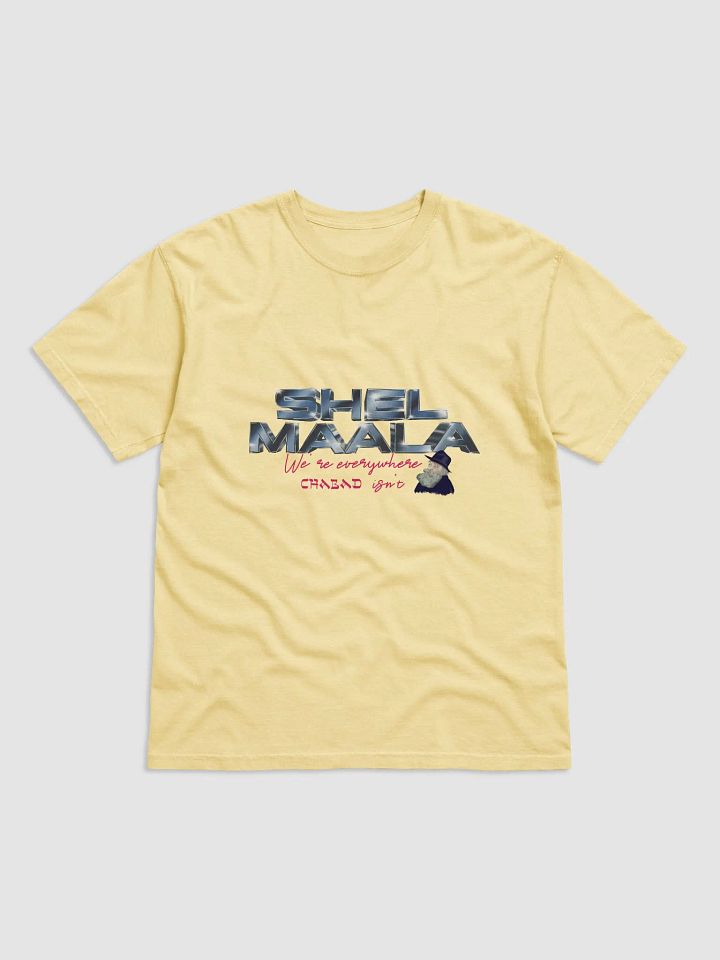 We're Everywhere Chabad Isn't Tee product image (4)