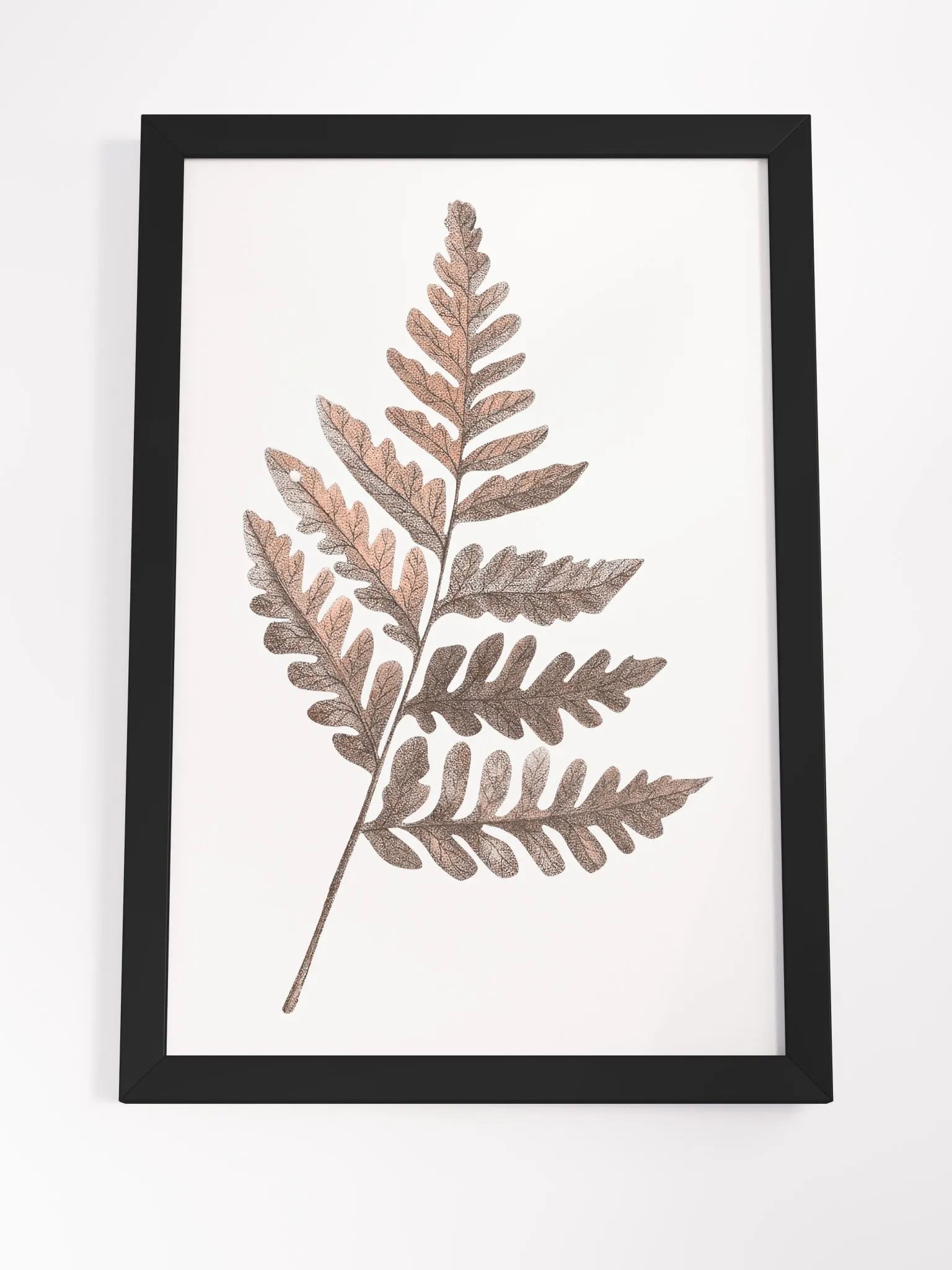 Ecotone Fern #2 Framed Print product image (4)