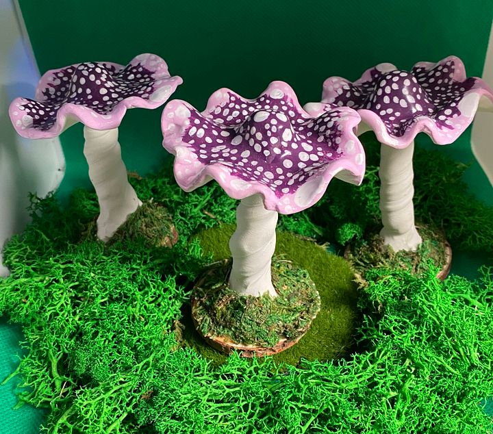 Purple Mushroom product image (2)
