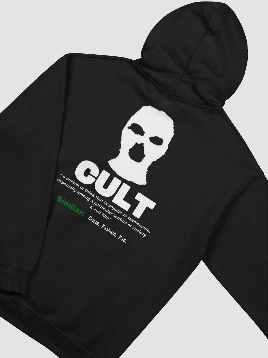 DEVIL IN THE DETAILS HOODIE product image (4)