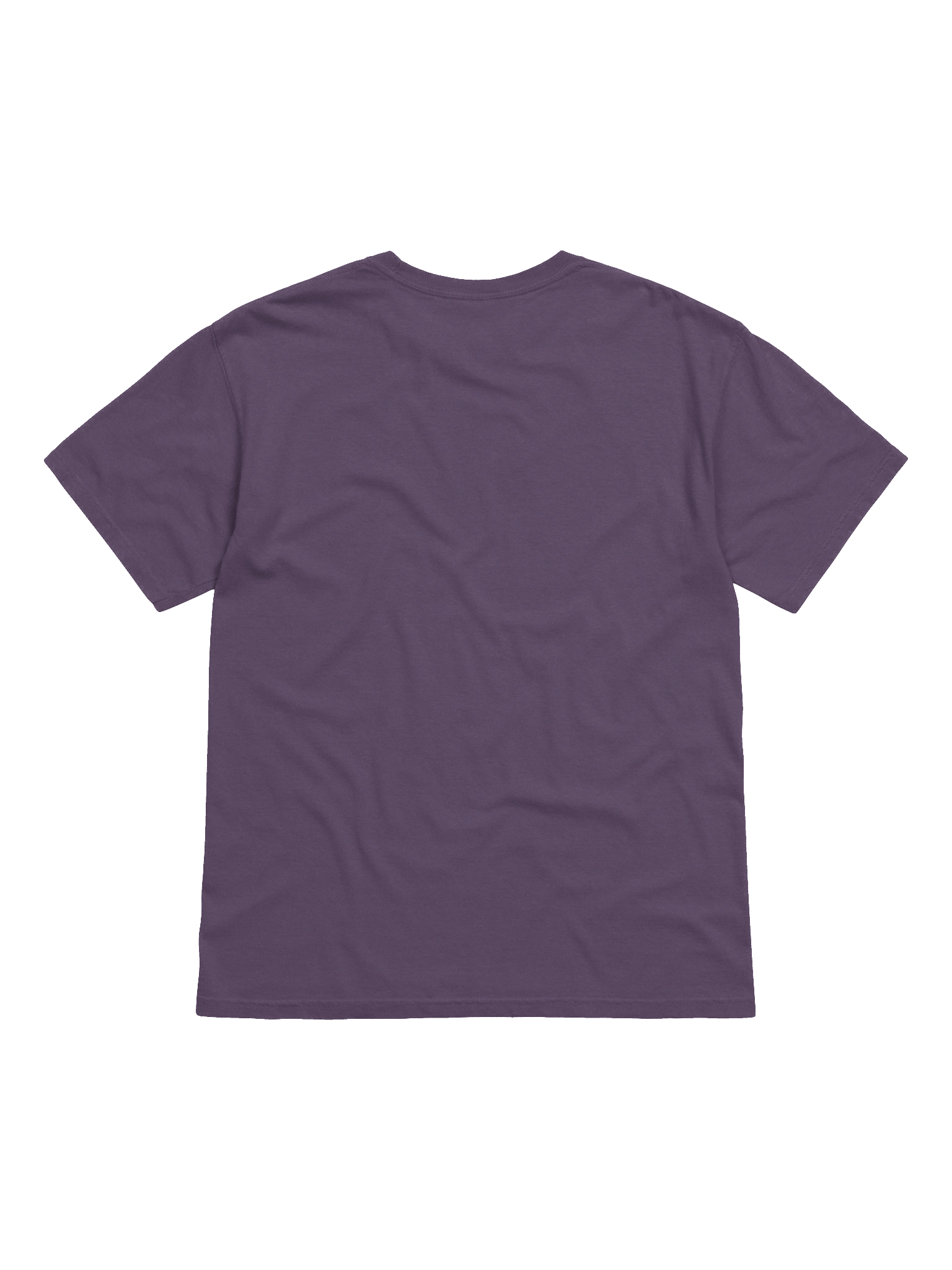 virtual architect tee (embroidered) product image (2)