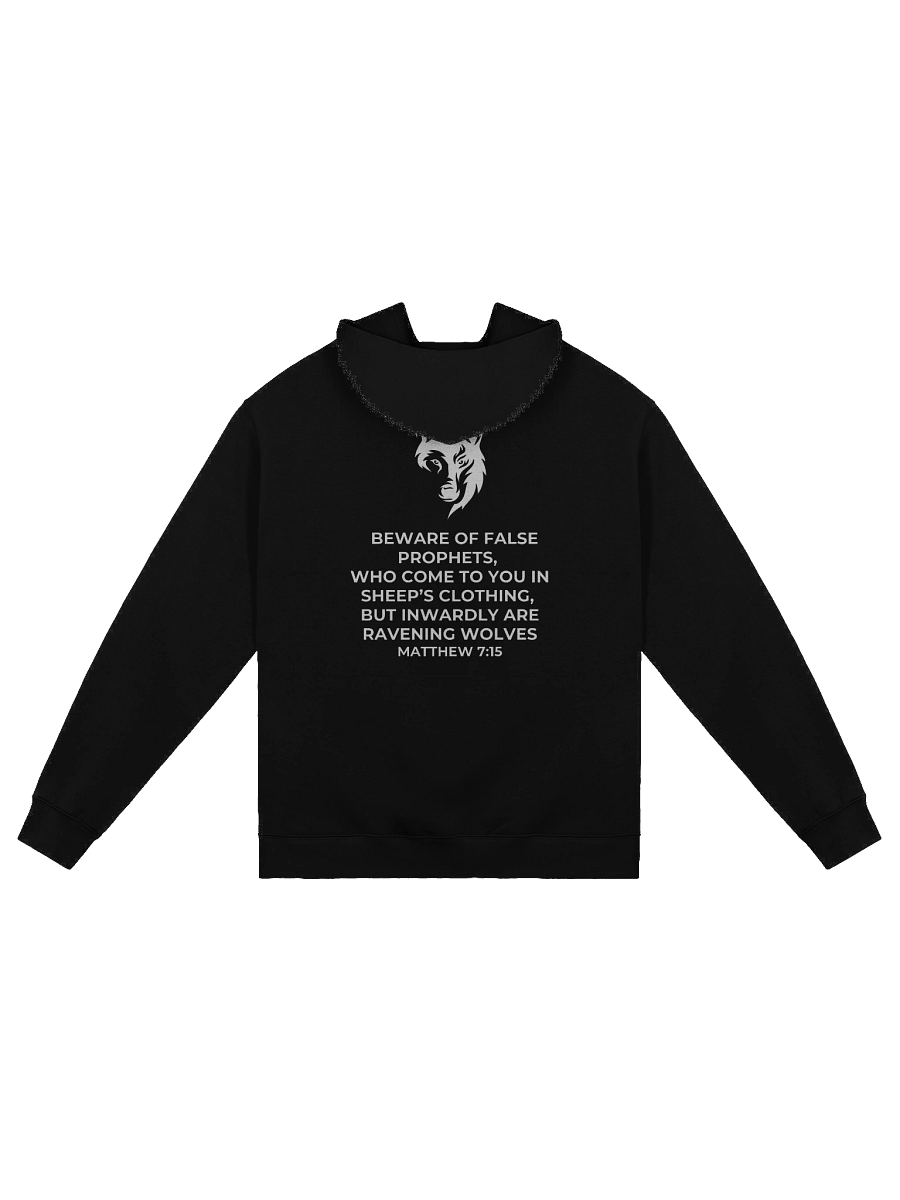 Matthew 7:15 Eclipse Oversized Hoodie product image (19)