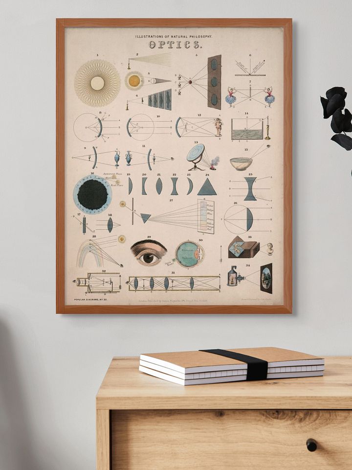 Vintage Optics Educational Chart Poster product image (2)