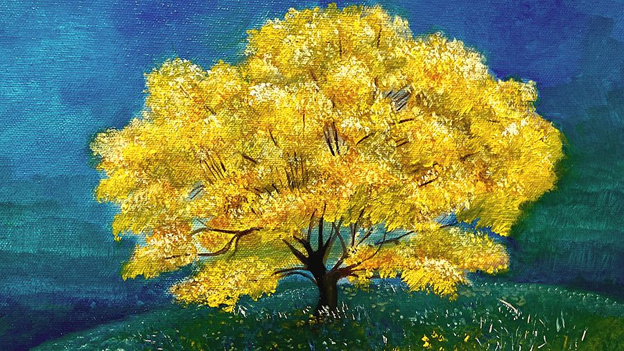 Roble Amarillo product image (1)