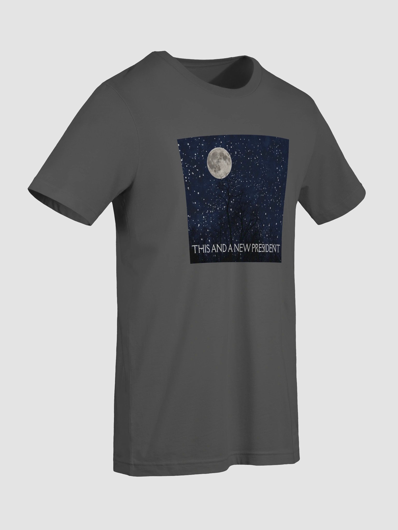 Moonlit Election T-Shirt product image (33)