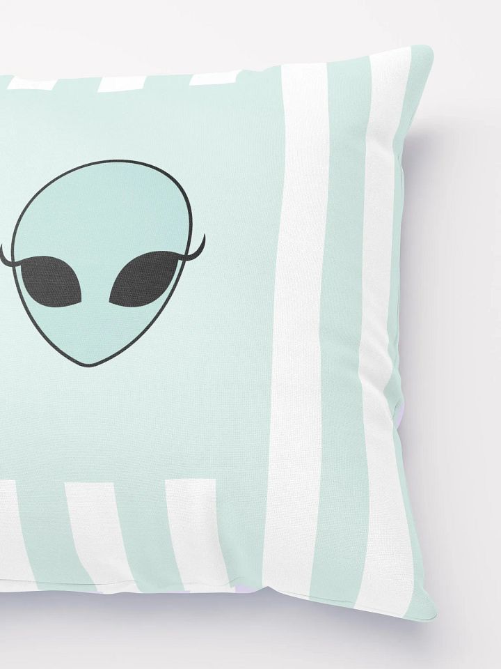 Double Trouble pillow product image (3)