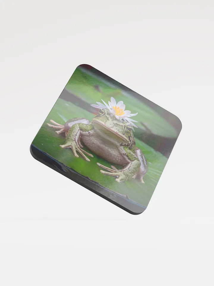 Frog Coaster product image (1)