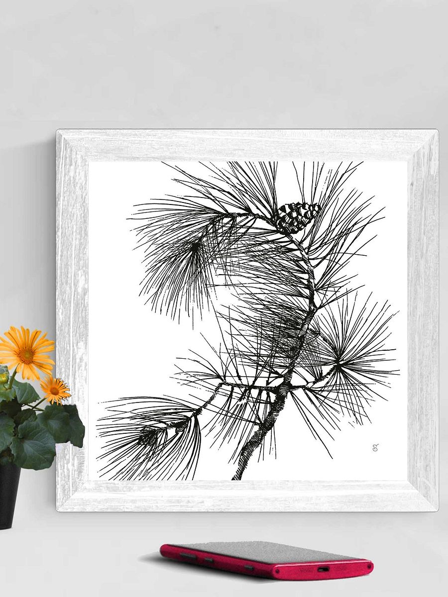 Blank Canvas Collection - Pine Branch product image (95)