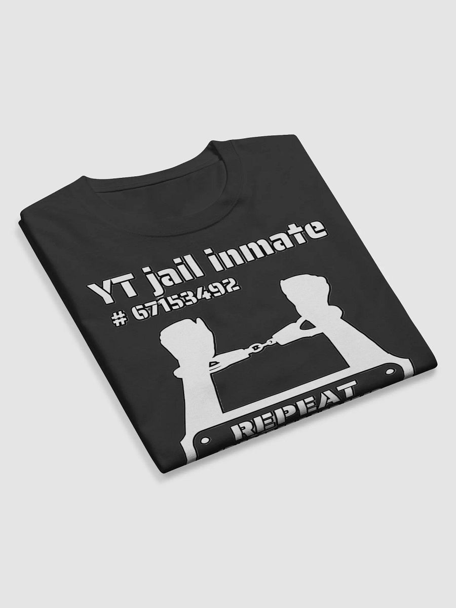 YT JAIL INMATE REPEAT OFFENDER product image (9)