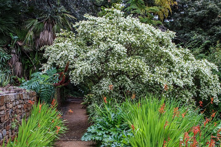 Fine Art - The Whispering Path 🌿✨ product image (1)