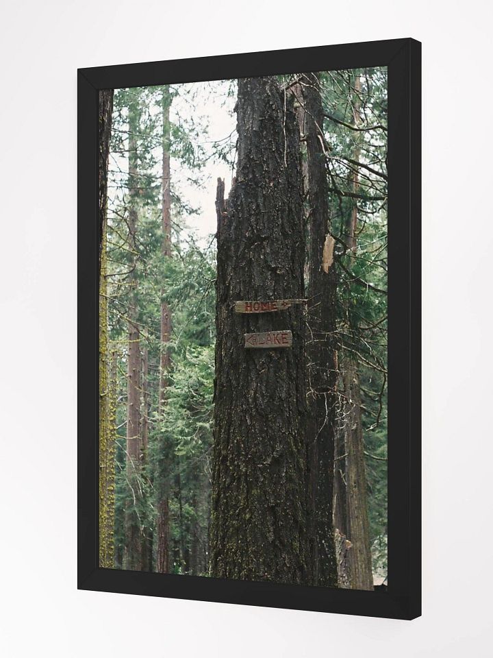 To Home - To Lake product image (4)
