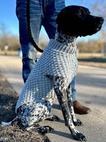 Wild Berry Dog Sweater Crochet Pattern product image (1)