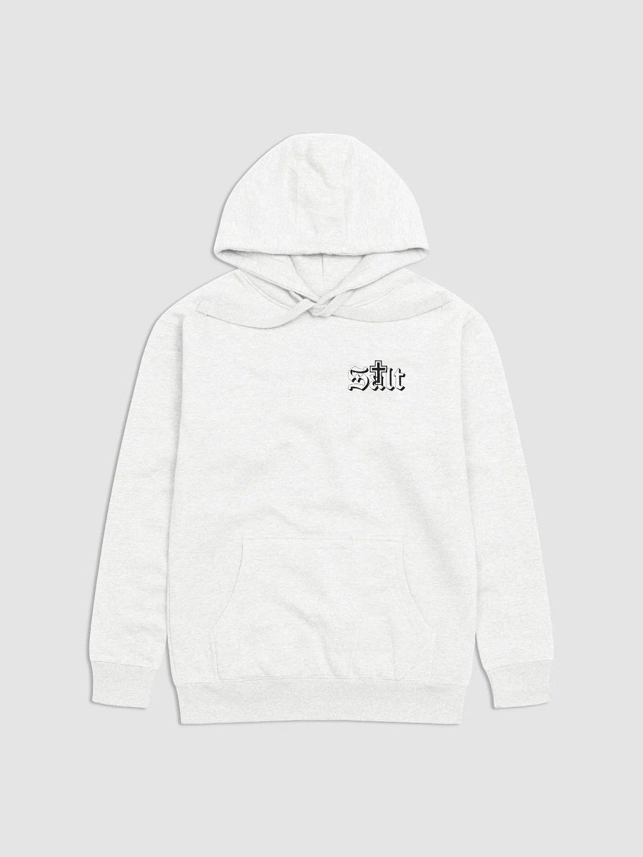 RULER OF ETERNITY: A BASIC UNISEX PREMIUM HOODIE INSPIRED BY HEBREWS 2:10 product image (1)