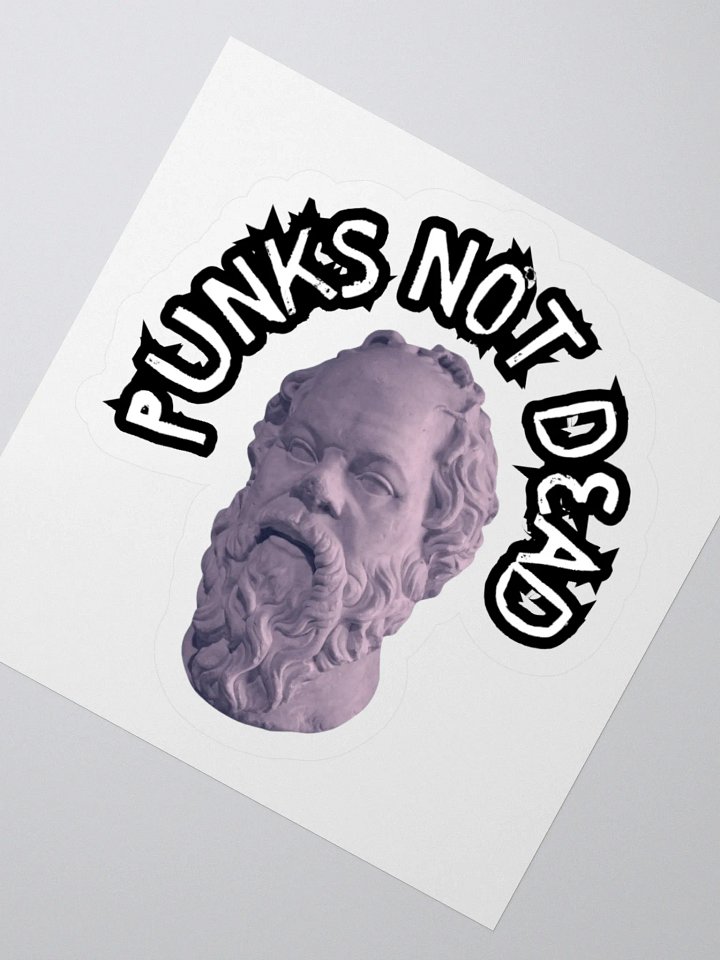 PUNKS NOT DEAD product image (6)
