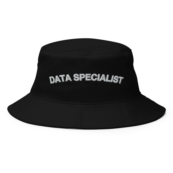 Data Specialist Hat product image (1)