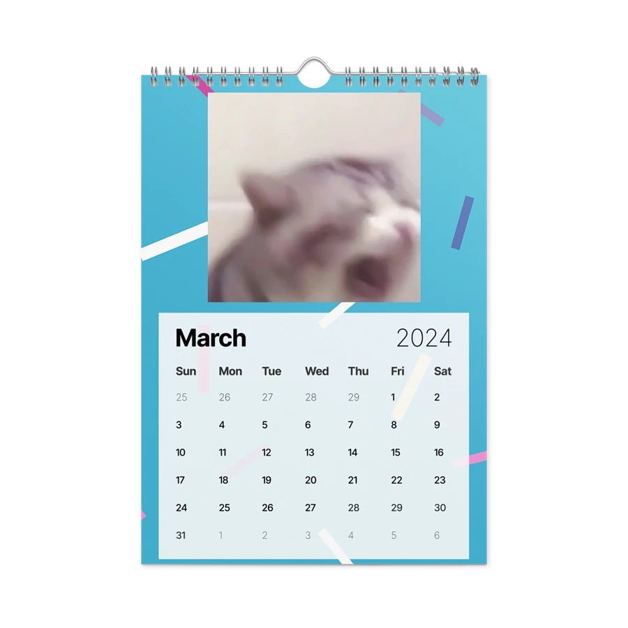 Wall Calendar (2024): Meme Cats product image (13)