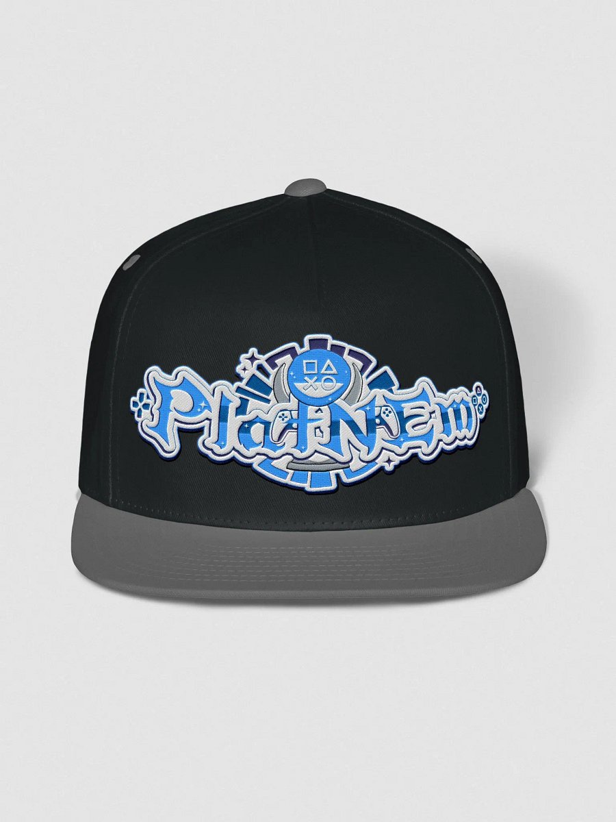 PlatNEm Logo Snapback product image (4)
