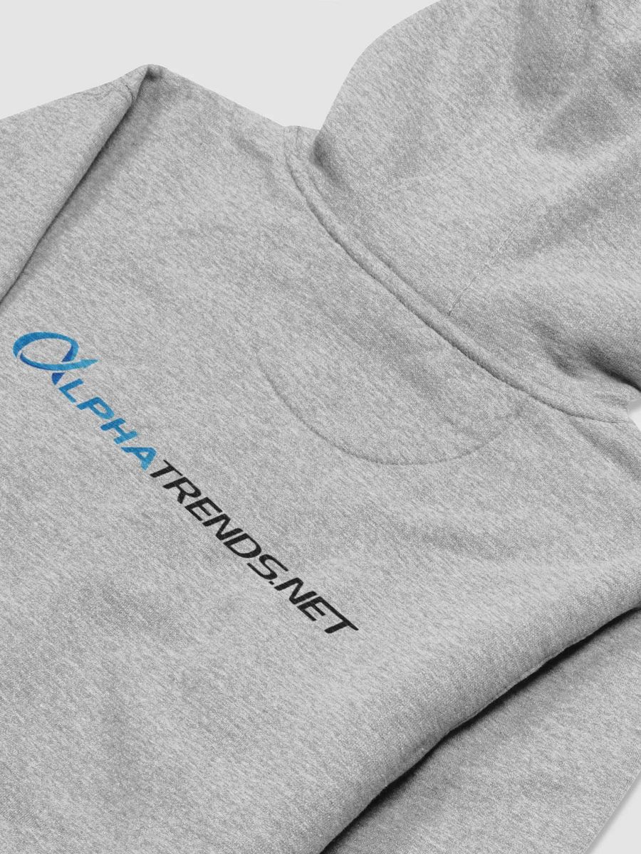 Alphatrends Hoodie (Black Text) product image (8)