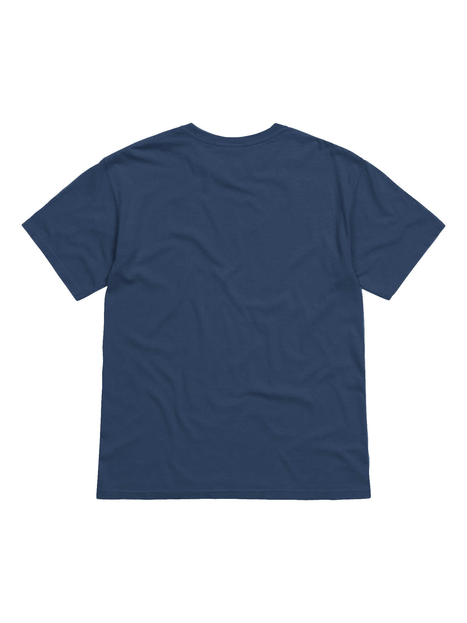 Survivalist Silhouette Tee product image (25)