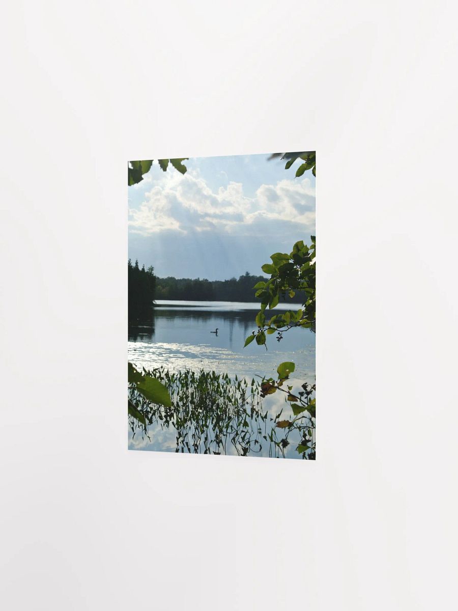 Don't get loonie product image (4)