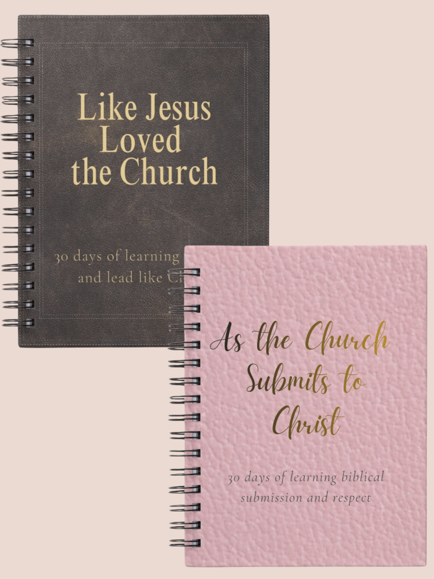 “The Marriage Challenge Bundle: 30 Days for Husbands & Wives” product image (1)