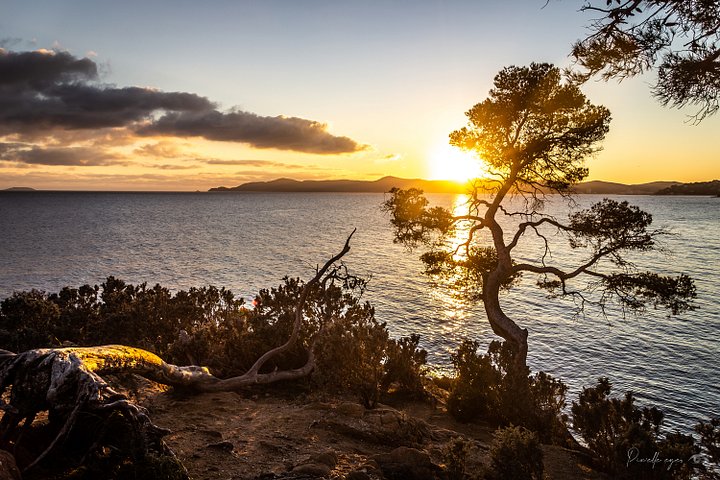 Fine Art Photography - Golden Hour over the Hyères Islands, Pointe du Layet, Lavandou, Var product image (1)