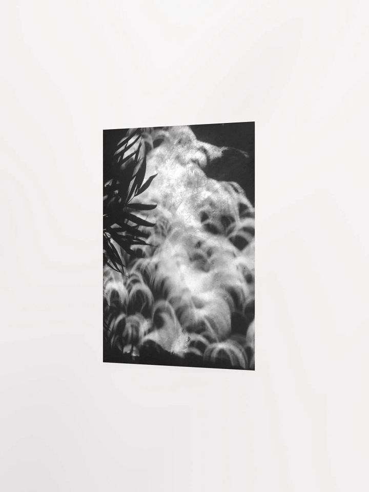 Crescents of Light from the Eclipse - Poster 2 product image (16)