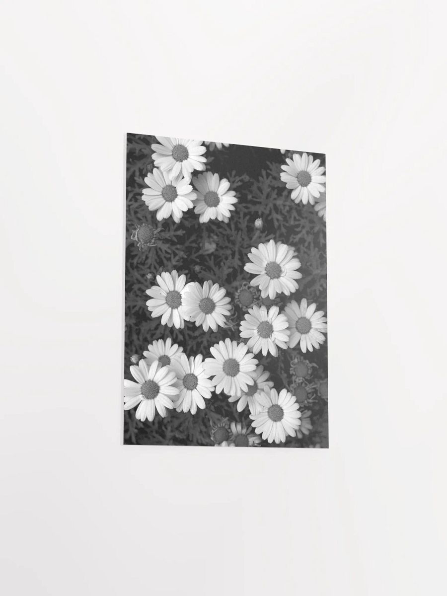 Margaritas - Enhanced Matte Paper Poster product image (3)