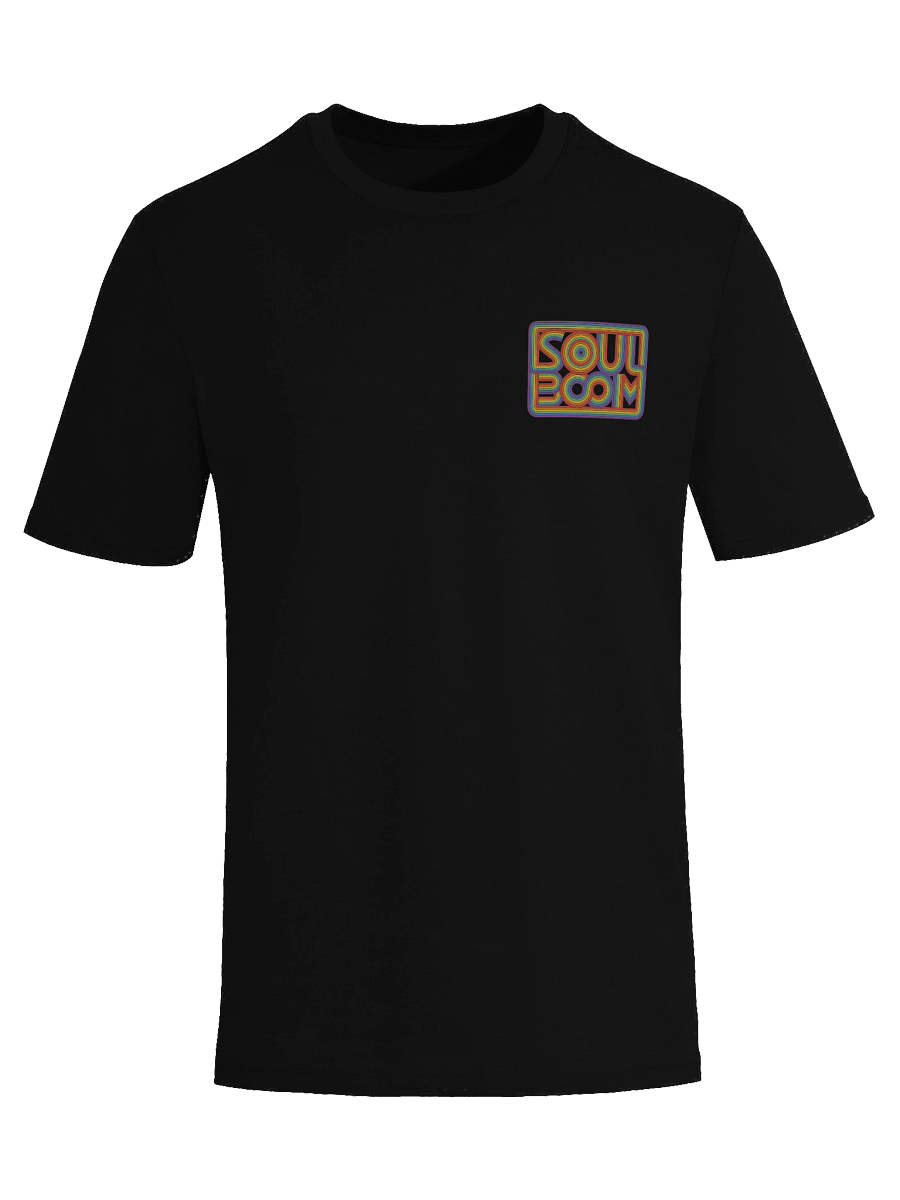 Smaller Rainbow Logo Shirt (100% Organic Cotton) product image (8)