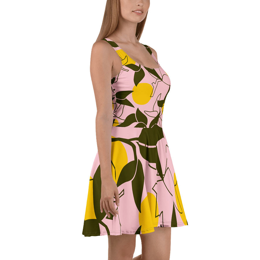 Vibrant Flora Skater Dress product image (3)