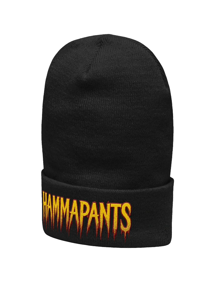 Hamma Slash Pants Embroidered Beanie product image (8)