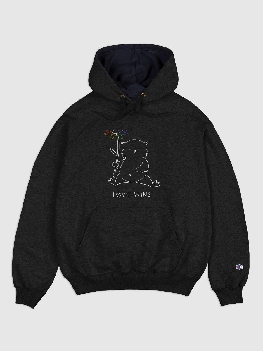 Love Wins Champion Cotton Max Hoodie (Black) product image (1)