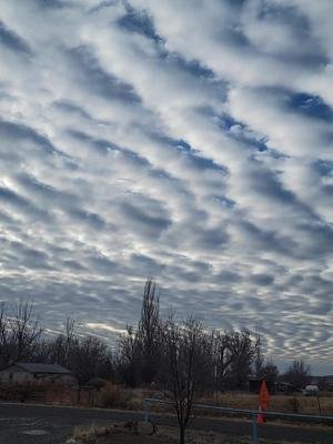 #clouds #birds #colorado #sky #pretty #serene #scenery #amazing #beautiful #fyp #trending #viral 
