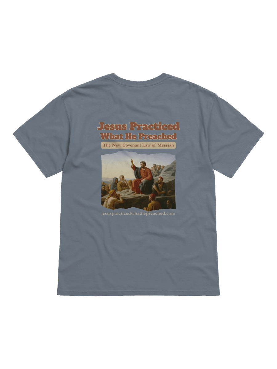 Jesus Practiced What He Preached Relaxed Heavyweight Tee product image (2)