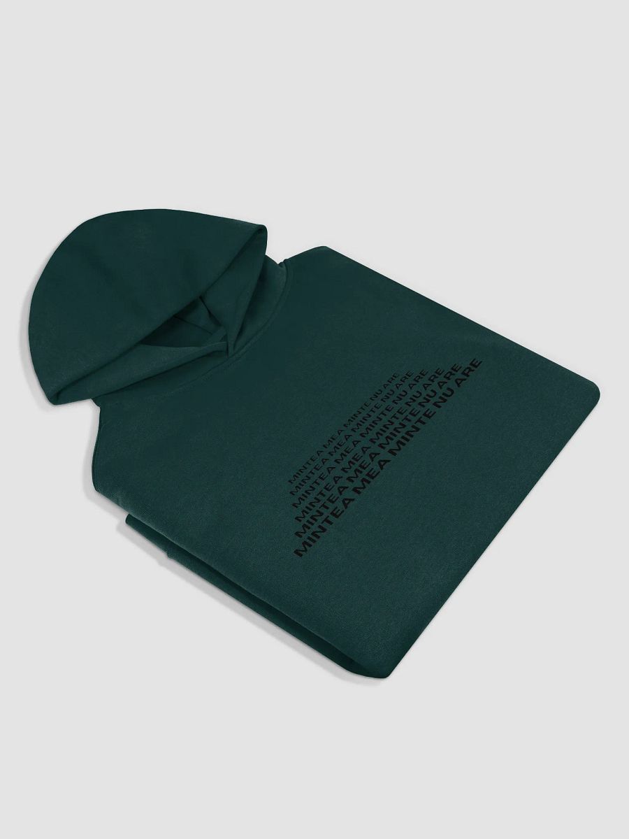 No Rules Hoodie product image (3)