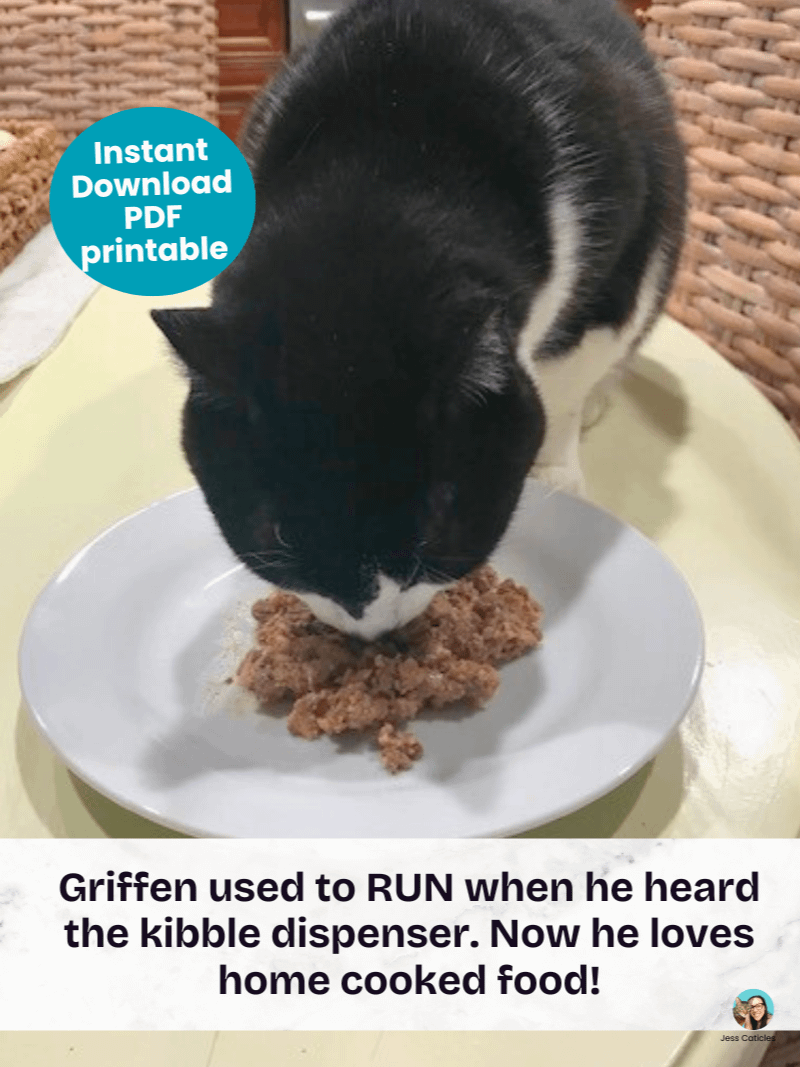 Cooked chicken cat food recipe ~ 1 recipe for adult cats product image (5)