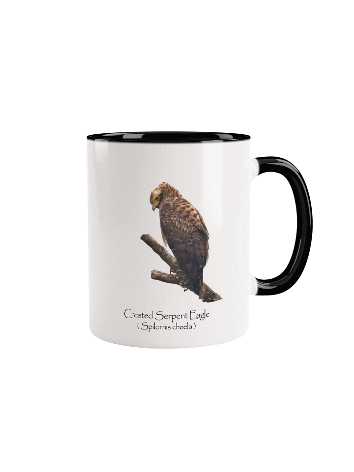Crested Serpent Eagle mug product image (3)