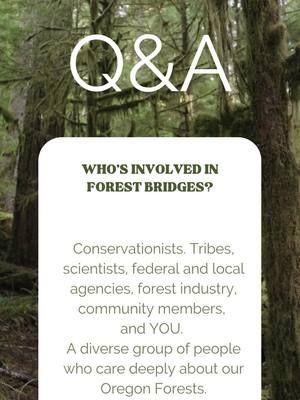 Q&A Wednesday: Who's Involved in Forest Bridges? Conservationists. Tribes, scientists, federal and local agencies, forest industry, community members, and YOU. A diverse group of people who care deeply about our Oregon Forests #oandclands #oregonforests #publiclands #nationalforests #yb2f