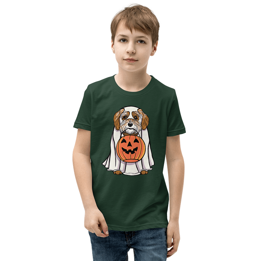 Halloween Havanese(Brown 2) Youth T-Shirt product image (1)